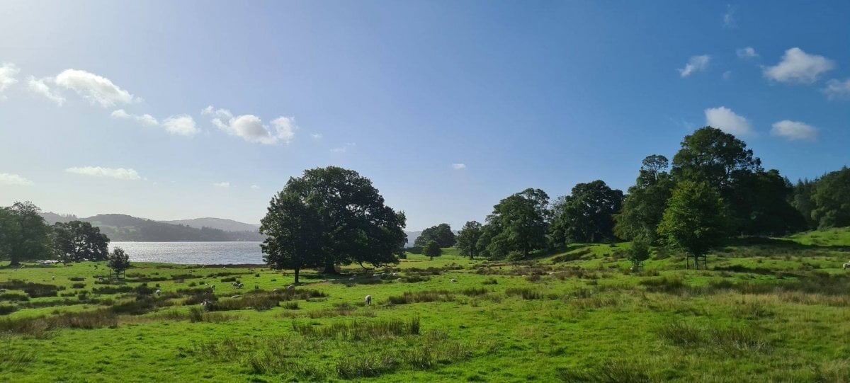 Lawn at the front of Brathay Hall Estate